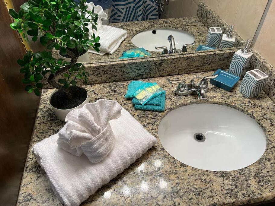 Cozy Affordable Studio Close To The Beach Lägenhet Hallandale Beach Exteriör bild